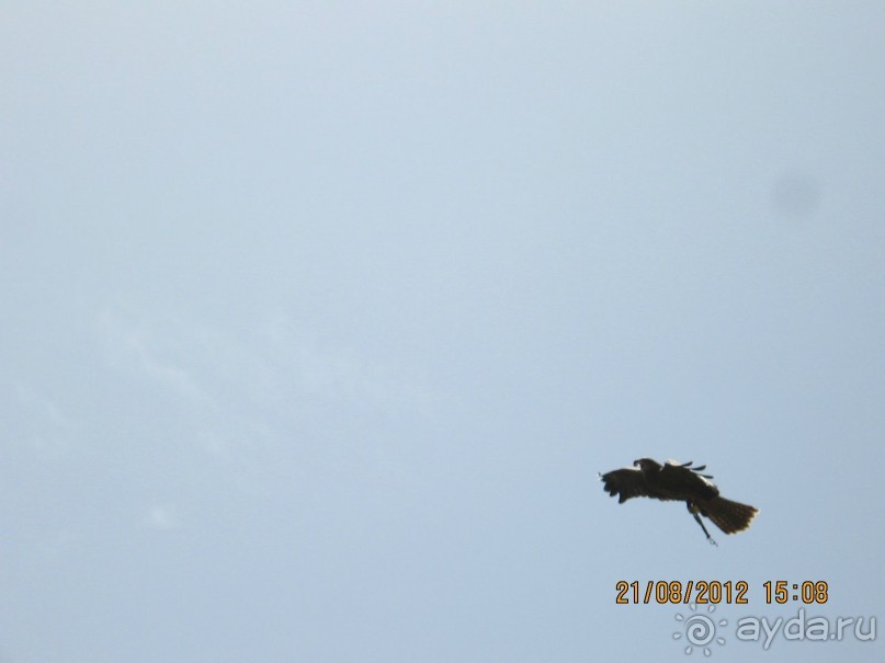 Увлекательно-развлекательная Майорка