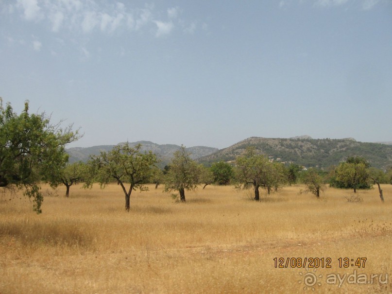 Увлекательно-развлекательная Майорка