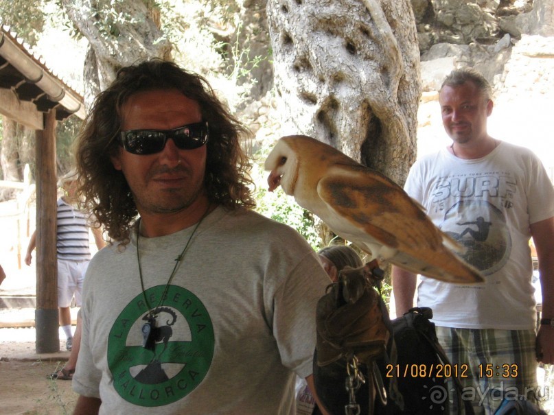 Увлекательно-развлекательная Майорка