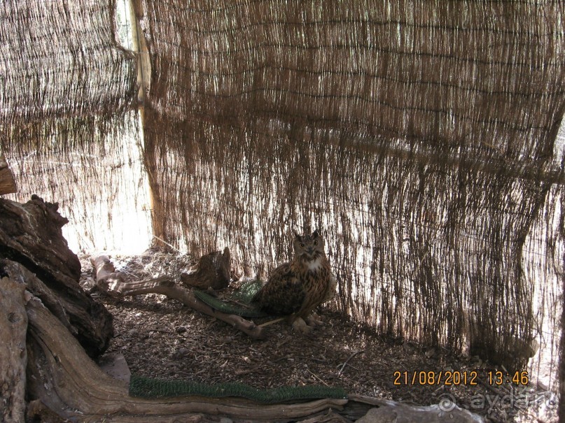 Увлекательно-развлекательная Майорка