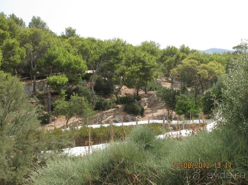 Увлекательно-развлекательная Майорка