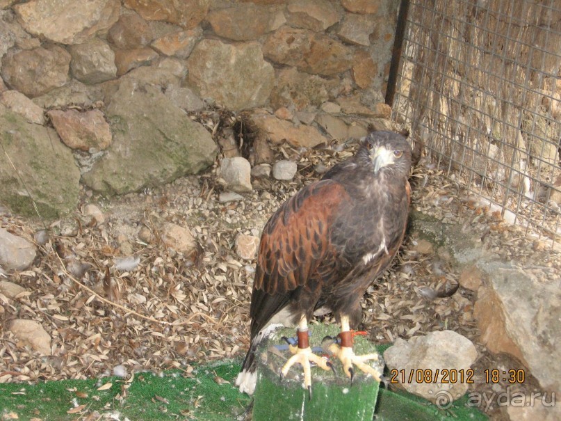 Увлекательно-развлекательная Майорка