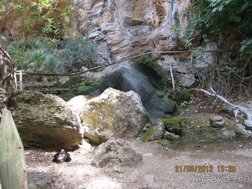 Увлекательно-развлекательная Майорка