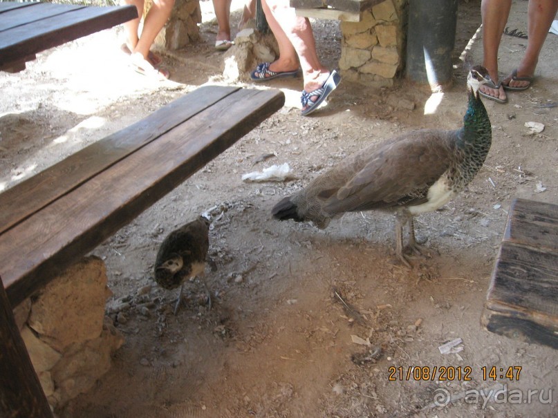 Увлекательно-развлекательная Майорка