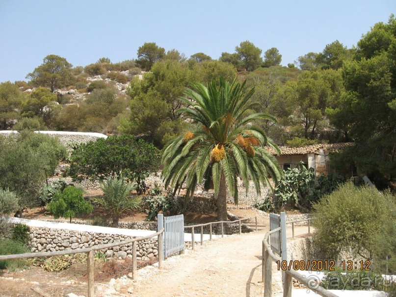 Увлекательно-развлекательная Майорка