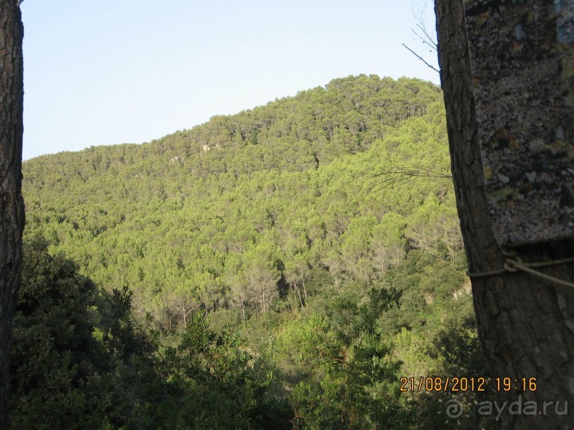 Увлекательно-развлекательная Майорка