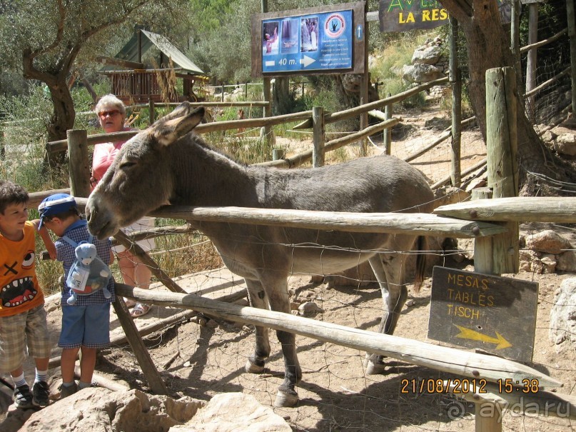 Увлекательно-развлекательная Майорка