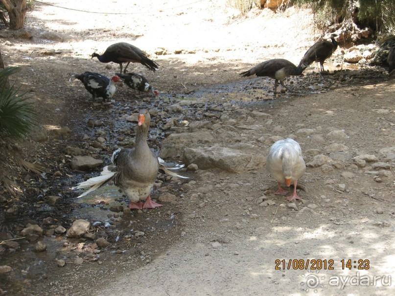 Увлекательно-развлекательная Майорка