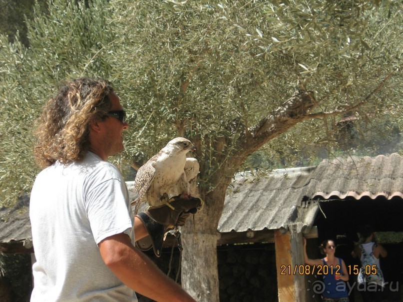 Увлекательно-развлекательная Майорка