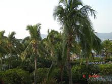 Райский остров