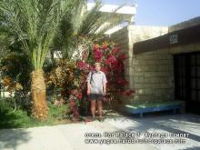 У, так называемого, бунгало отеля Хор Палас   :-))