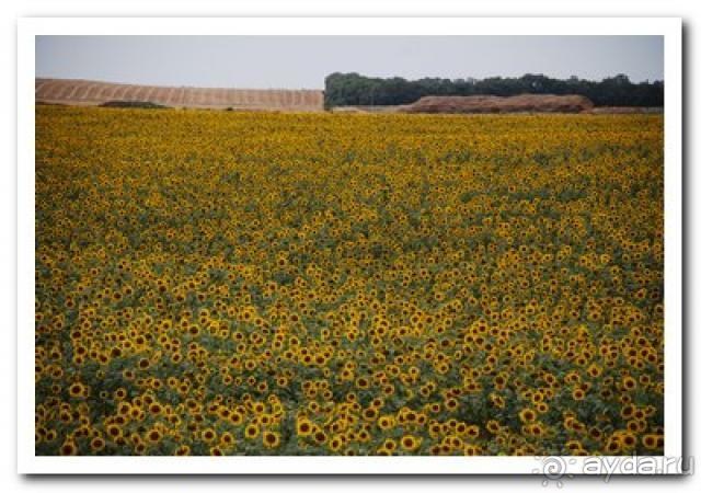 Хорошая база отдыха для семейных пар с детьми