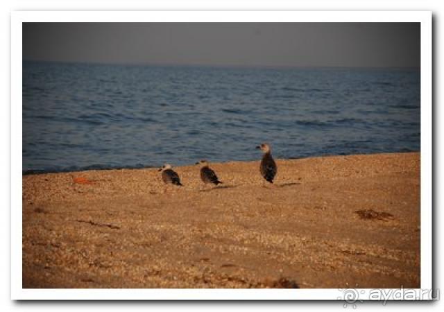 Хорошая база отдыха для семейных пар с детьми