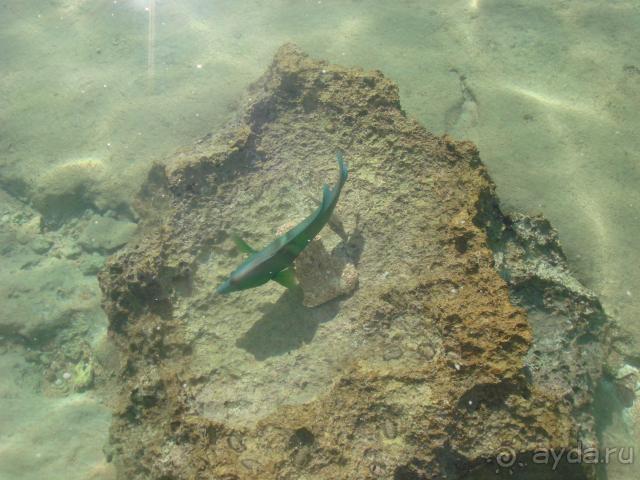 Неделя с 7-го по 14 января  - святки вдали от России.