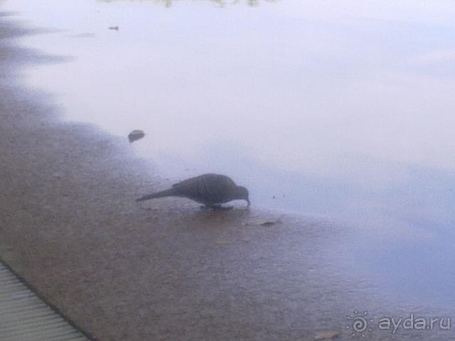 Отдыхал в ноябре 2010! Просто ужас!