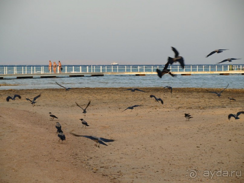 Отель на твердую четверку
