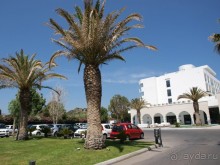 фото Mitsis Faliraki Beach Hotel