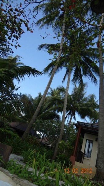 Про Самуи и не только.....