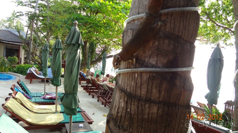 Про Самуи и не только.....