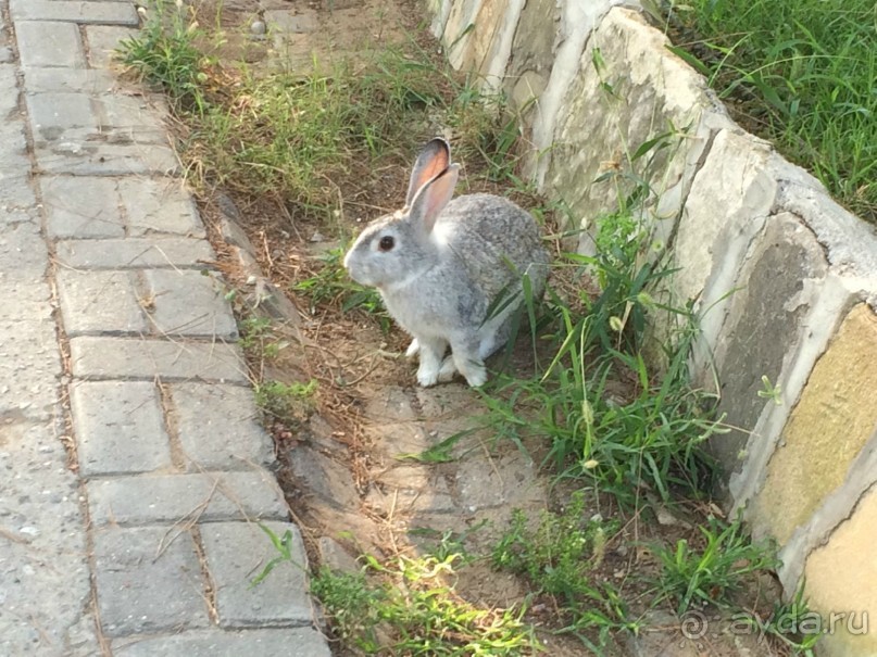 Все отлично, рекомендую!