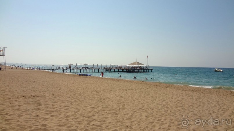 Все отлично, рекомендую!