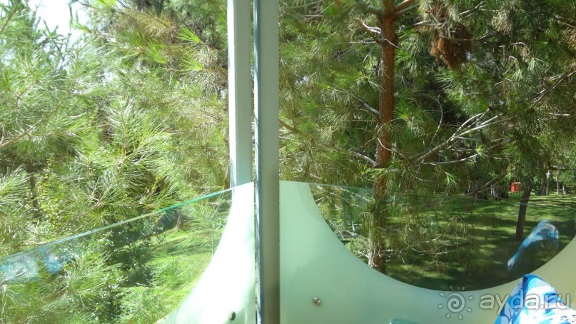 Все отлично, рекомендую!