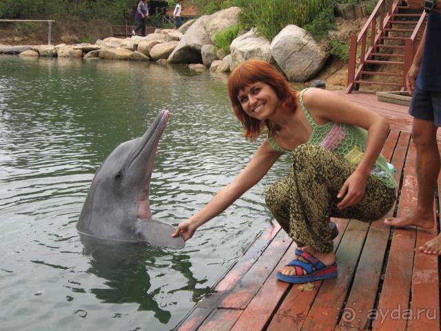 фото Camelot Hotel