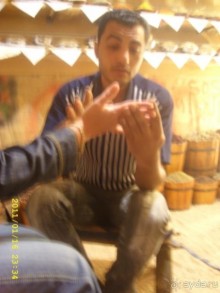 Контрасты Шамса