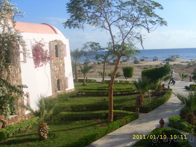 Контрасты Шамса