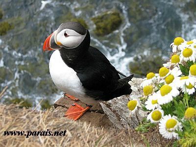 Фотографии с моей страницы