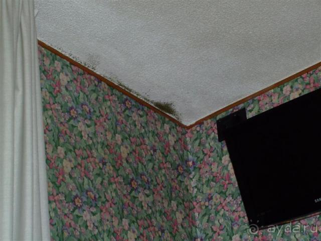 фото Mangrove Tree Resort