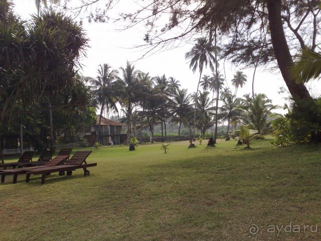 фото Hedef Resort & Spa