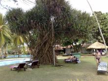 фото Hedef Resort & Spa