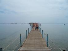 фото Pickalbatros Royal Moderna Resort