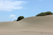Дюны Лас Салинас