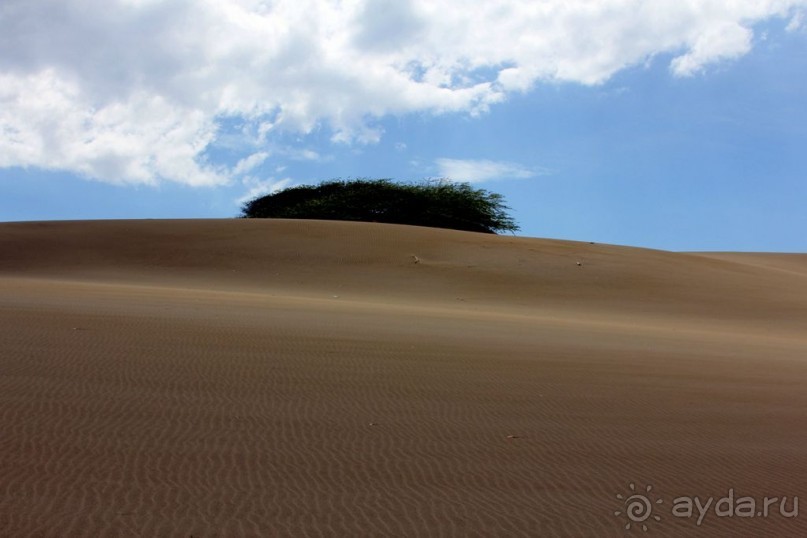 Дюны Лас Салинас