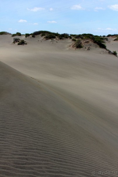 Дюны Лас Салинас