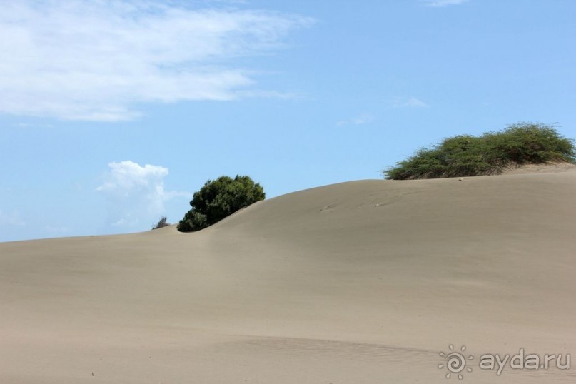Дюны Лас Салинас