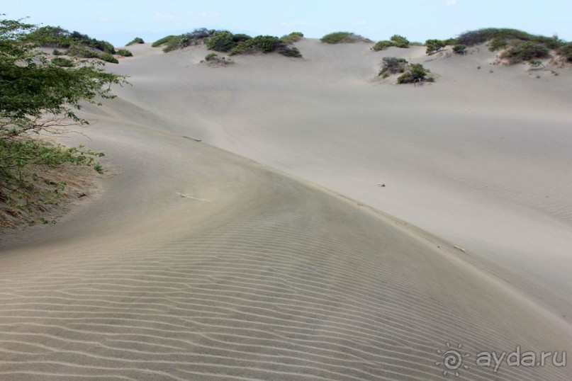 Дюны Лас Салинас