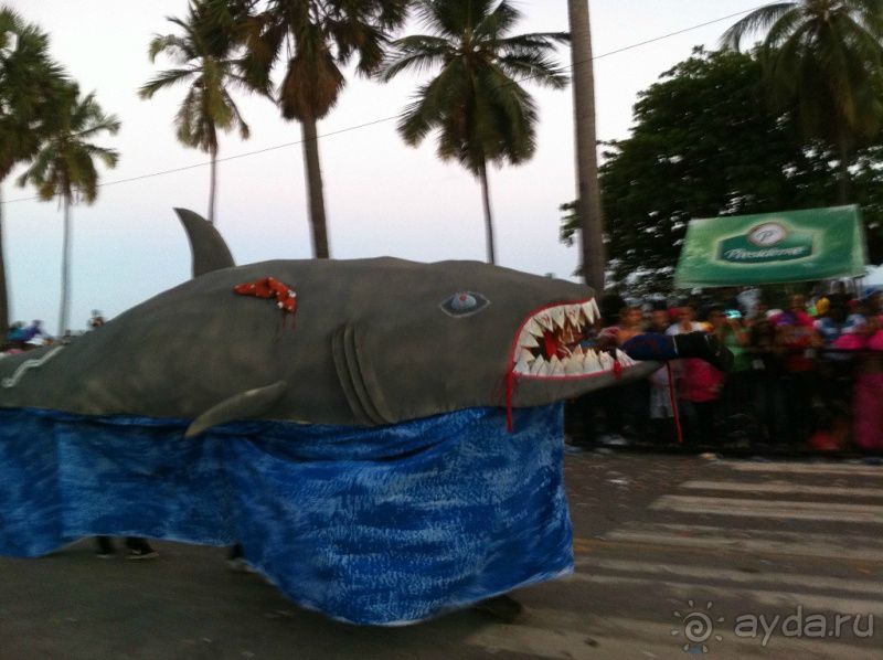 Карнавал в Санто Доминго