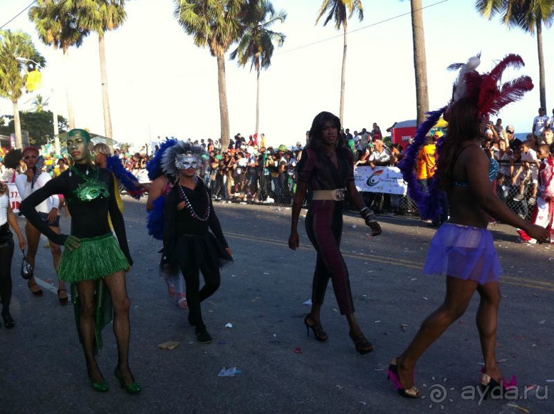 Карнавал в Санто Доминго