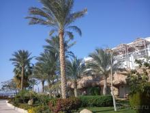 фото Melton Tiran Resort 