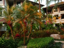 отель оч.большой, но ощущается это только за завтраком