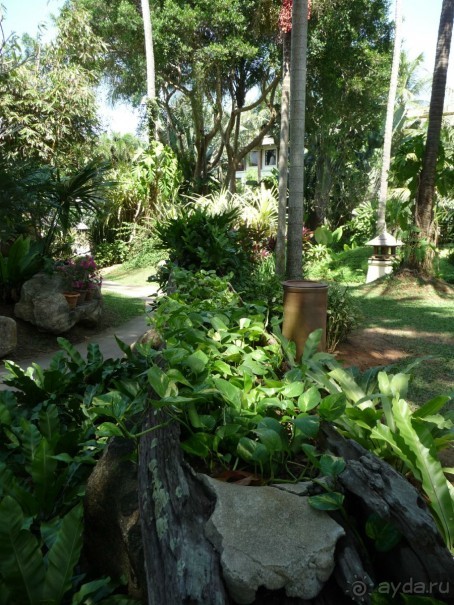 фото пляжа Май Кхао