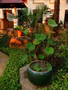 фото пляжа Май Кхао