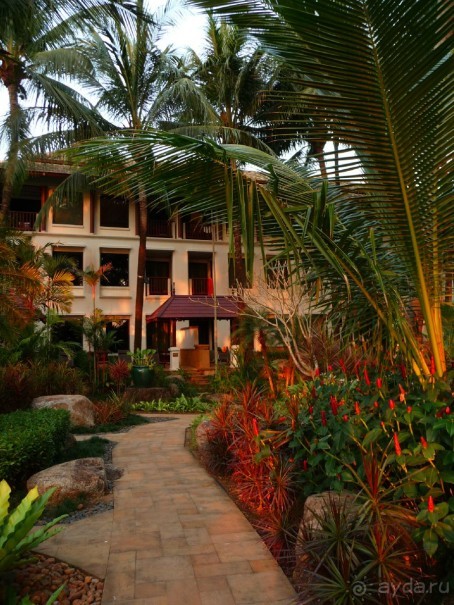 дорожка к морю