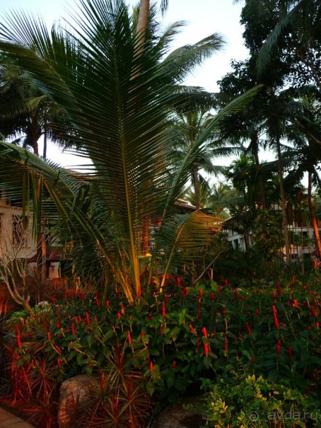 фото пляжа Май Кхао