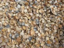 Можно сказать что не плохо, но слишком много но.....