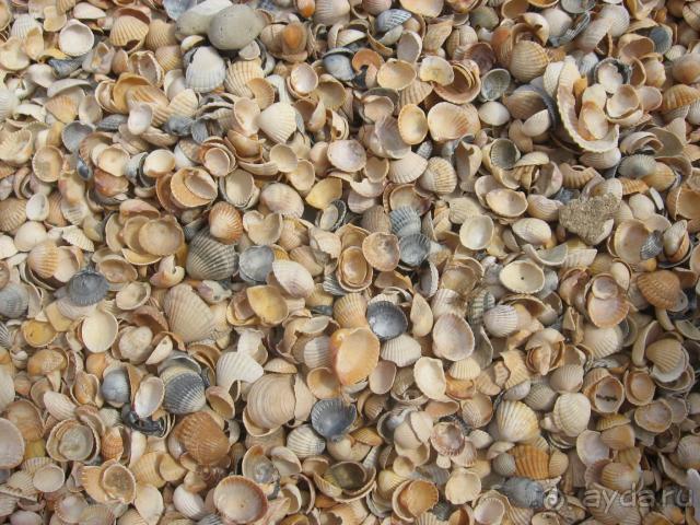 Можно сказать что не плохо, но слишком много но.....