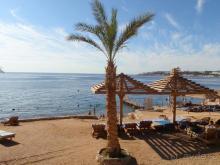 Хоть и не Тропикана, а все равно отлично!